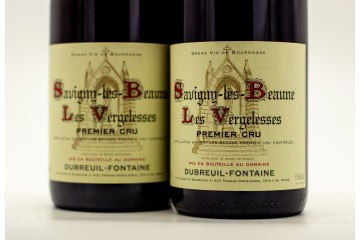 Domaine Dubreuil-Fontaine...